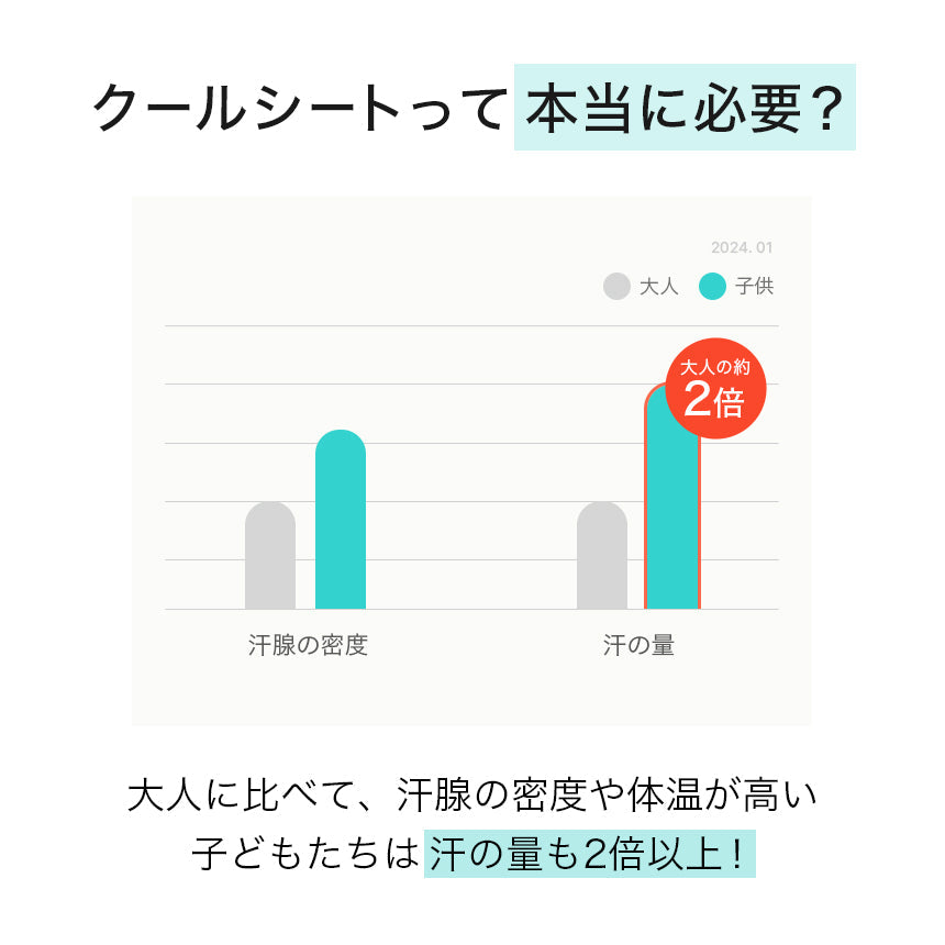 表示確認テスト