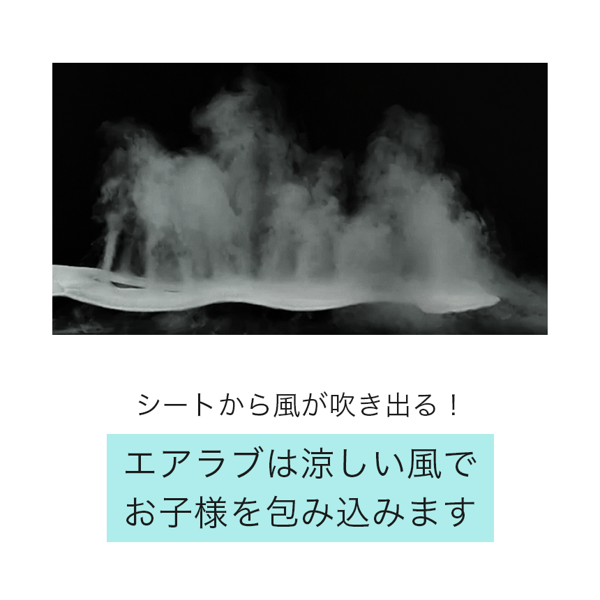 表示確認テスト