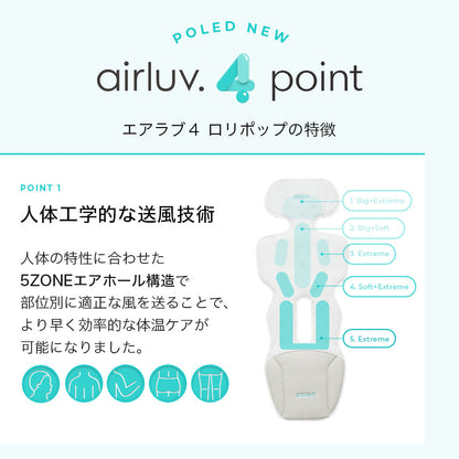 表示確認テスト