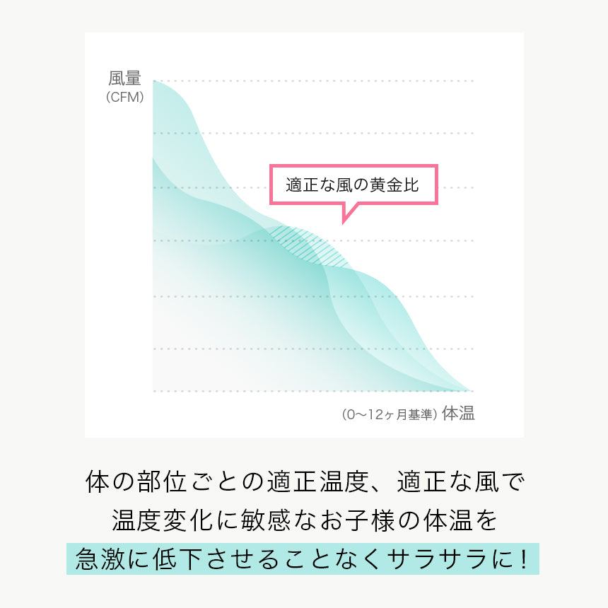 表示確認テスト