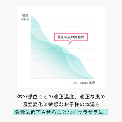 表示確認テスト
