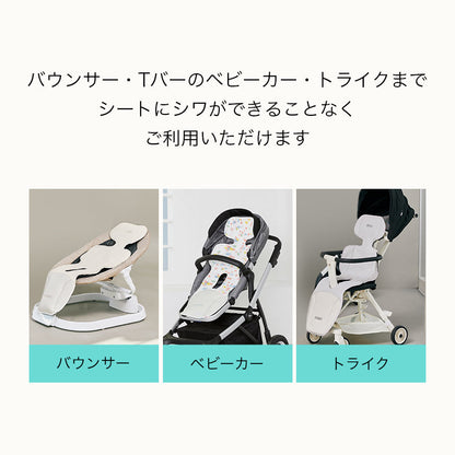 表示確認テスト